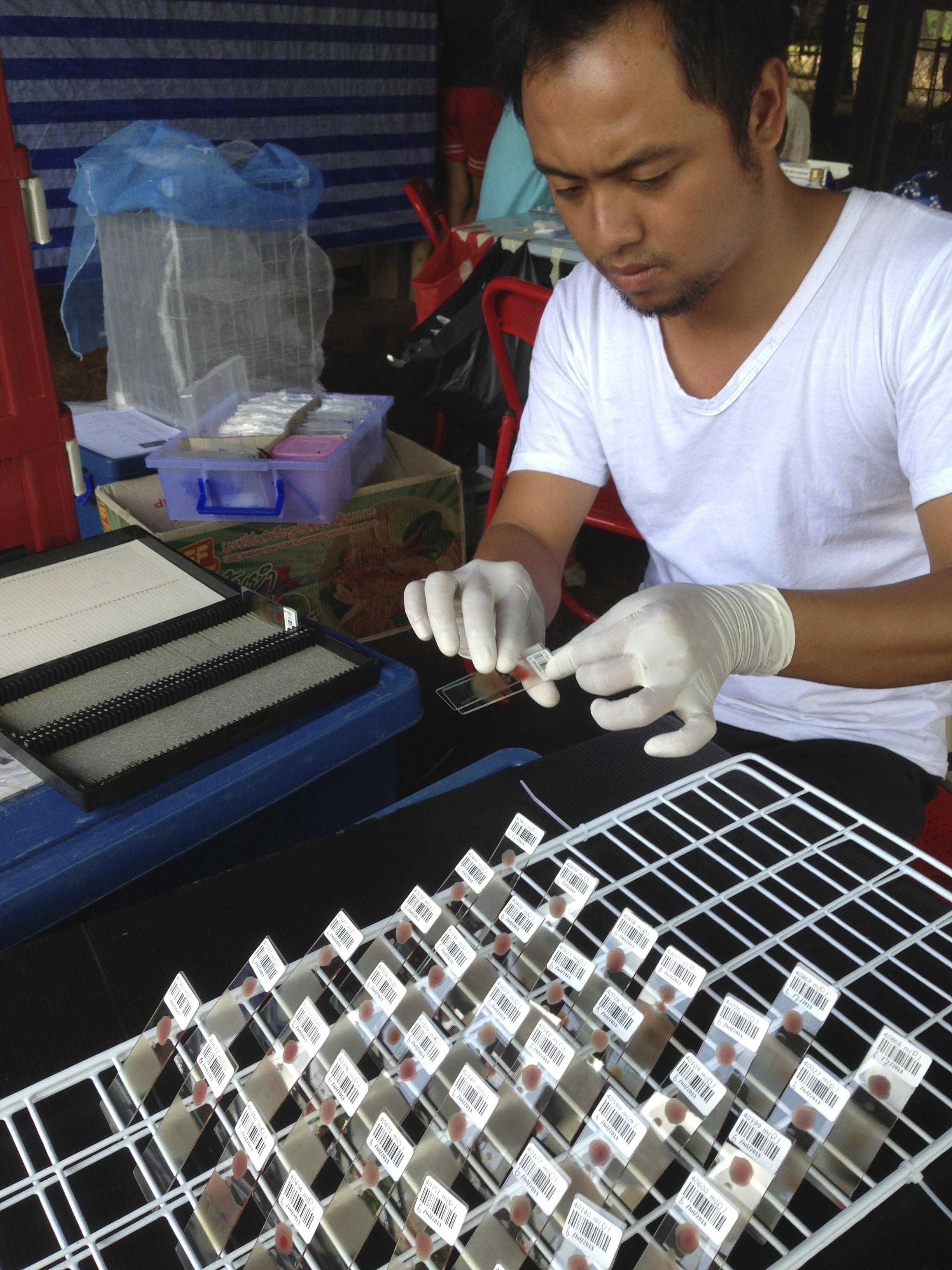 Man working with samples