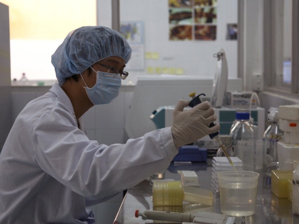 Person in laboratory conducting tests