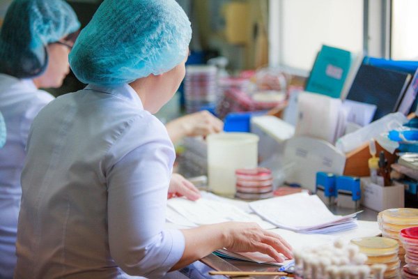 Staff working in lab, OUCRU4 Lab