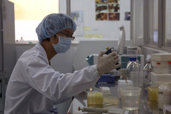 Person in laboratory conducting tests