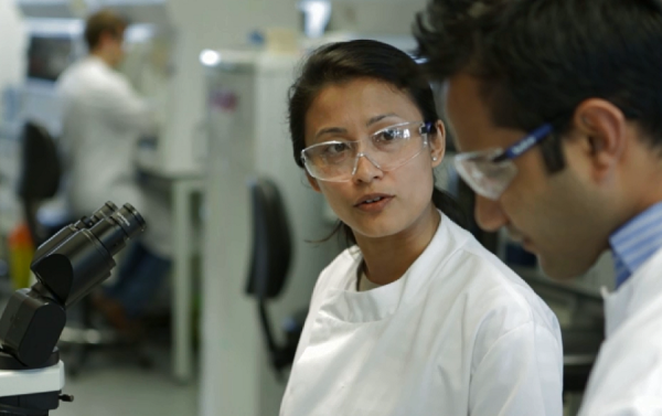 Researchers in a laboratory setting